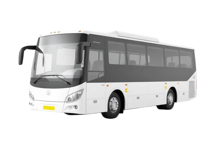 Bus (9–24 seats)